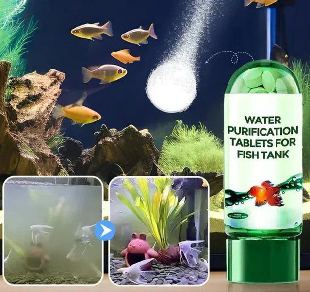 Aquarium with fish and water purification tablets for fish tank displayed.